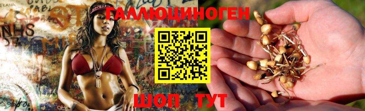 Галлюциногенные грибы Psilocybe  Псилоцибиновые грибы GOLDEN TEACHER  Вход с VPN  Мариинск 