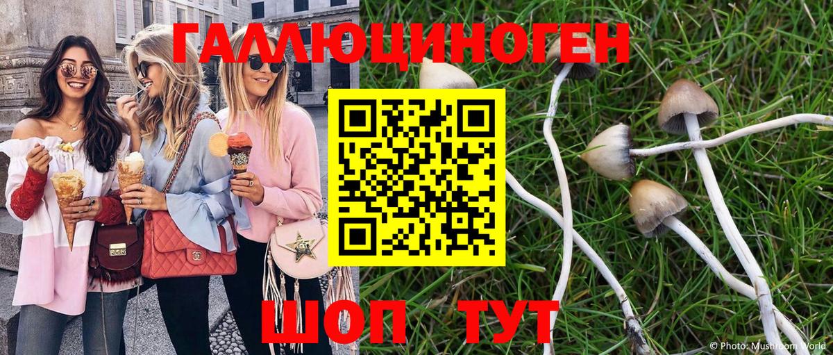 Псилоцибиновые грибы мухоморы Мариинск